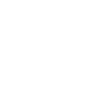 grupo sal