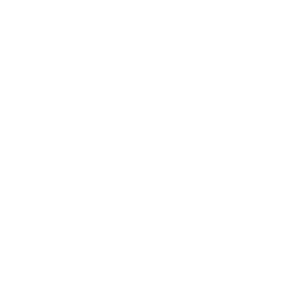grupo sal